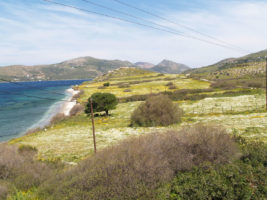 Παραλία Δχούνια