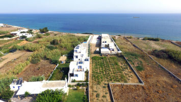 Pelagos on the Beach